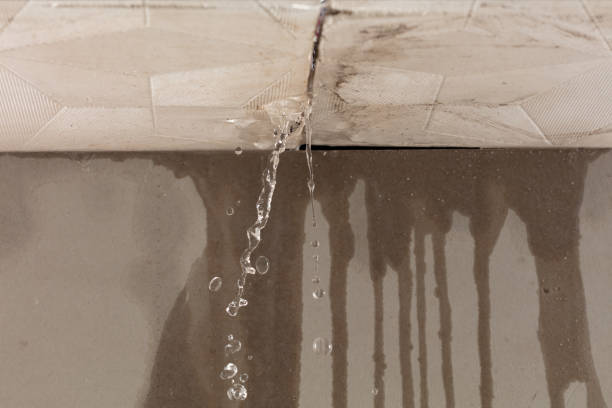 Professional Structural Drying technician working in Rome, GA